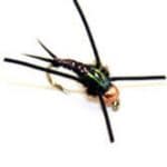 Nymphs